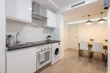 Stanza privata in Paseo de las Delicias, immagine 9 di 19