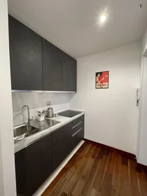 Entire apartment at Via Dei Marsi, image 16 of 20