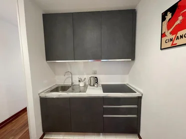 Entire apartment at Via Dei Marsi, image 17 of 20
