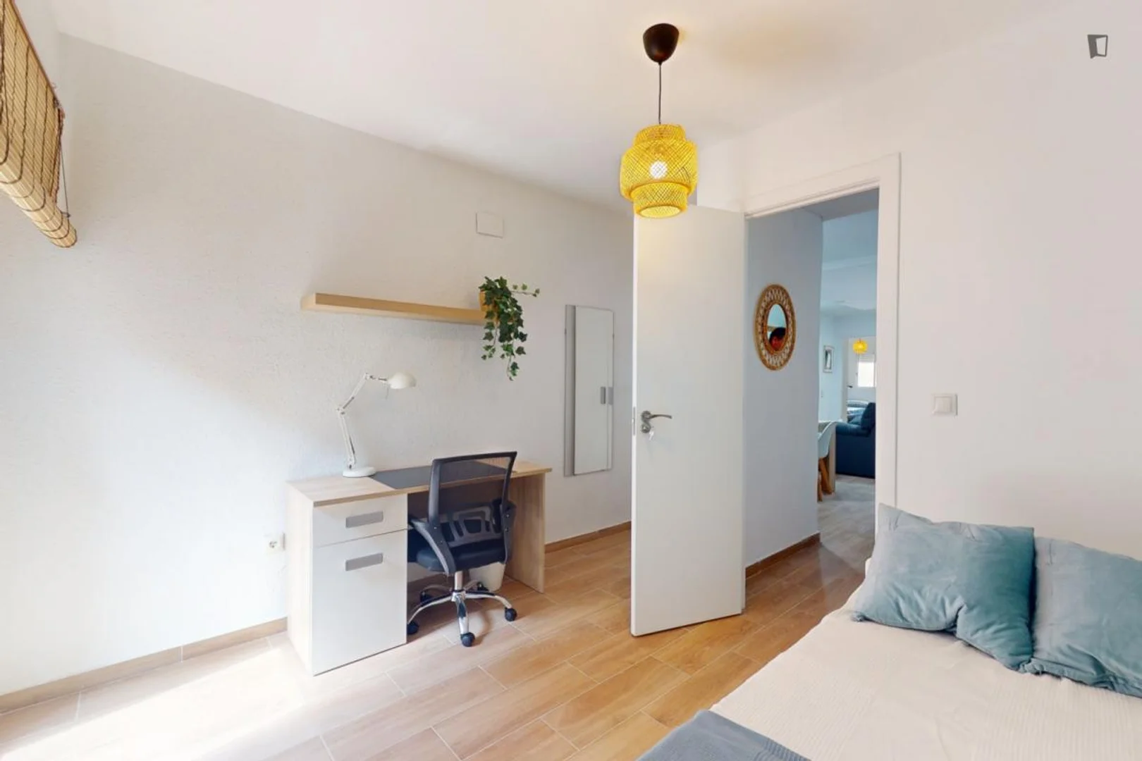 Affordable room for students with ample lighting in