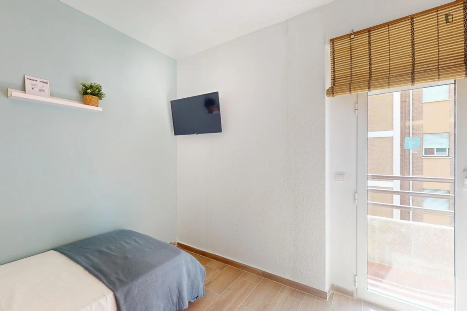 Affordable room for students with ample lighting in