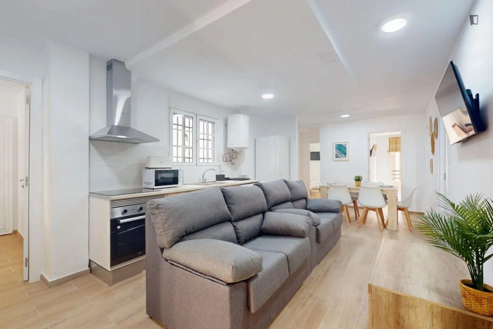 Affordable room for students with ample lighting in