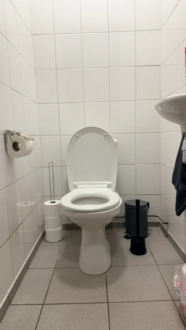 Niedrogi pokój dla studentów z dużym oświetleniem w 
