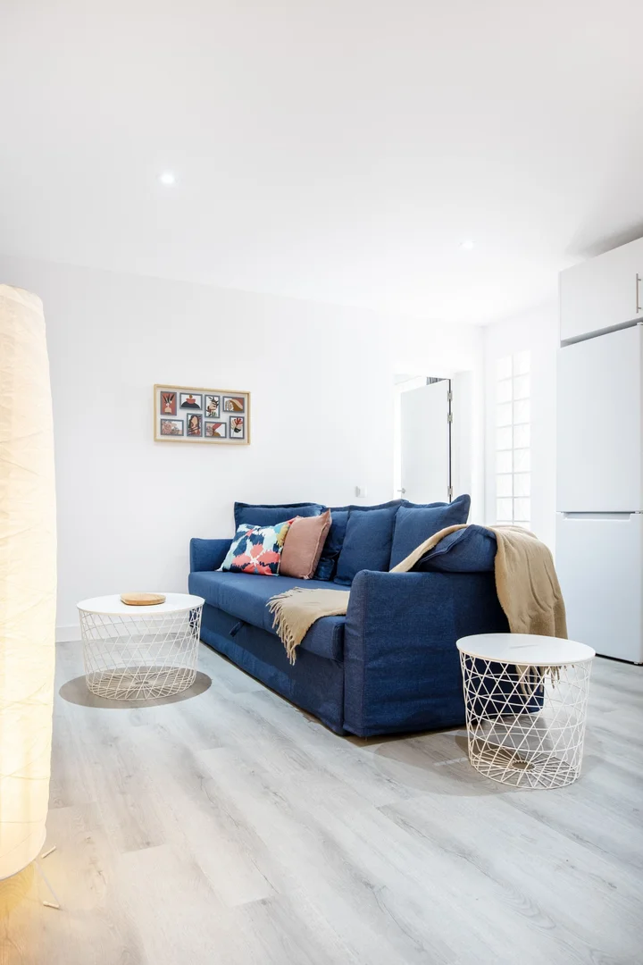 Affordable room for students with ample lighting in 