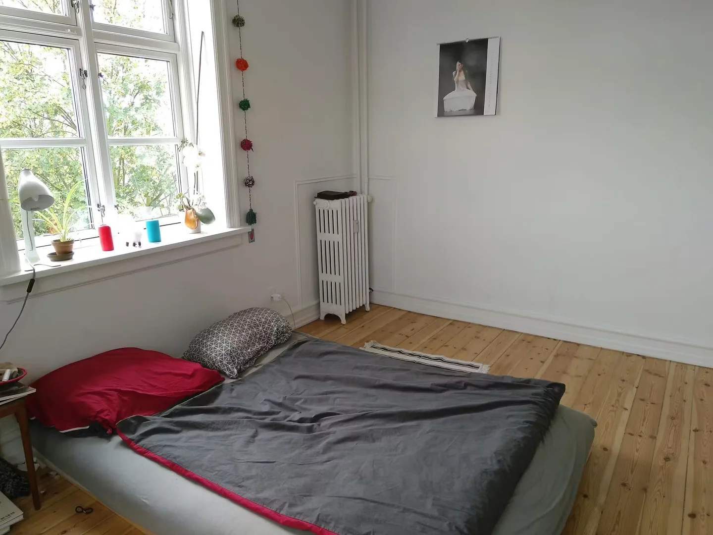 Chambre abordable pour les étudiants avec un bon éclairage dans 
