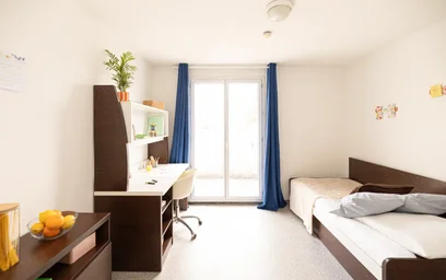 Quarto privado em residência em 80 Avenue du Docteur Albert Schweitzer, imagem 3 de 16