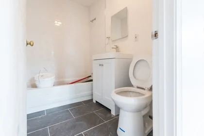 Logement entier en résidence à 376, Washington, Unit 8, Dorchester, Boston, MA, 02124, image 15 de 20