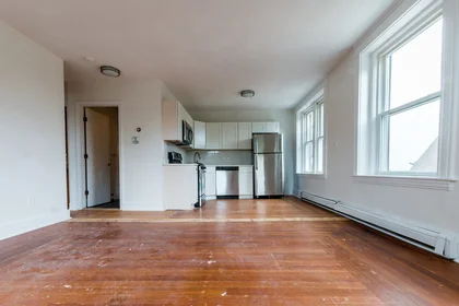 Logement entier en résidence à 376, Washington, Unit 8, Dorchester, Boston, MA, 02124, image 16 de 20