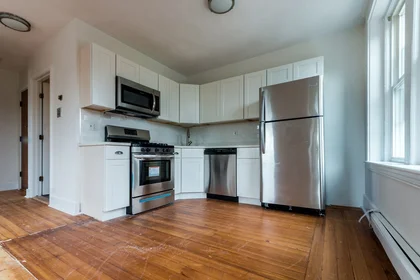 Logement entier en résidence à 376, Washington, Unit 8, Dorchester, Boston, MA, 02124, image 17 de 20