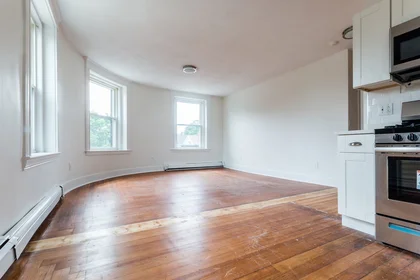 Logement entier en résidence à 376, Washington, Unit 8, Dorchester, Boston, MA, 02124, image 7 de 20