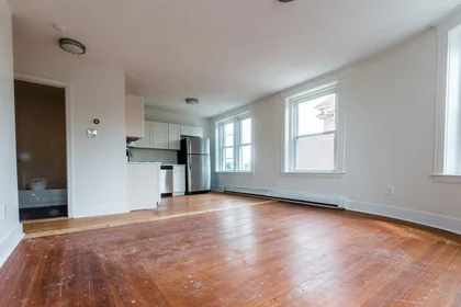 Logement entier en résidence à 376, Washington, Unit 8, Dorchester, Boston, MA, 02124, image 9 de 20