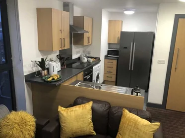 Privatzimmer im Wohnheim in der Park Lane House, 27 Stockton Rd, Sunderland SR2 7AQ, United Kingdom, bild 25 von 26