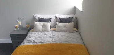 Chambre privée en résidence à Fenham Hall Drive, Newcastle NE4 9YH., image 2 de 49