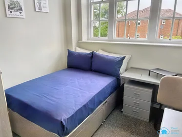Chambre privée en résidence à Fenham Hall Drive, Newcastle NE4 9YH., image 7 de 49