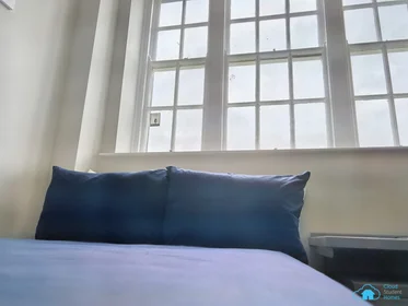 Chambre privée en résidence à Fenham Hall Drive, Newcastle NE4 9YH., image 9 de 49
