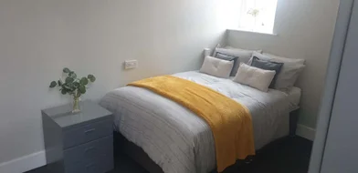 Studio in residence at Fenham Hall Drive, Newcastle NE4 9YH., image 25 of 49