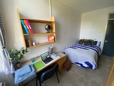 Studio in residence at Fenham Hall Drive, Newcastle NE4 9YH., image 44 of 49