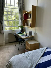 Studio in residence at Fenham Hall Drive, Newcastle NE4 9YH., image 47 of 49
