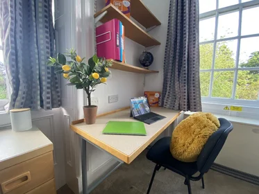 Studio in residence at Fenham Hall Drive, Newcastle NE4 9YH., image 48 of 49