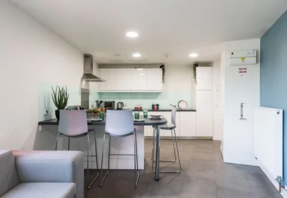 Habitación privada en residencia en 173 Kingston Rd, New Malden KT3 3SS, UK , imagen 5 de 49