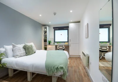 Habitación privada en residencia en Stoddart St, Shieldfield, Newcastle upon Tyne NE2 1BS, United Kingdom, imagen 2 de 49