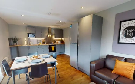 Chambre privée en résidence à 75 St Georges Cl, Sheffield S3 7EA, United Kingdom, image 5 de 26