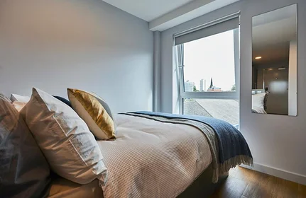 Chambre privée en résidence à 75 St Georges Cl, Sheffield S3 7EA, United Kingdom, image 16 de 27
