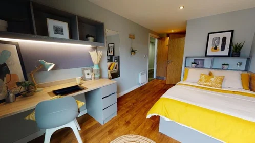 Chambre privée en résidence à 75 St Georges Cl, Sheffield S3 7EA, United Kingdom, image 4 de 27