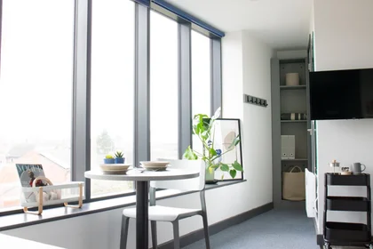 单间公寓 在住宅内 在 Park Ln, Woodhouse, Leeds LS3 1FL, United Kingdom, 29的图像26