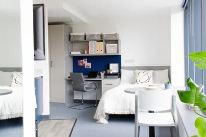 单间公寓 在住宅内 在 Park Ln, Woodhouse, Leeds LS3 1FL, United Kingdom, 29的图像9