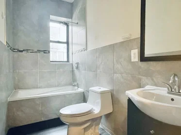 Entire apartment in residence at 600 Park Place,  19, Crown Heights, Brooklyn, NY, 11238, image 8 of 9
