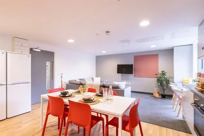 Chambre privée en résidence à 39 Bailey St, Sheffield City Centre, Sheffield S1 4TY, United Kingdom, image 14 de 35