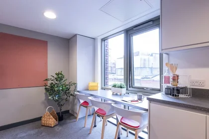 Chambre privée en résidence à 39 Bailey St, Sheffield City Centre, Sheffield S1 4TY, United Kingdom, image 17 de 35