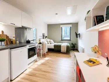 Chambre privée en résidence à 39 Bailey St, Sheffield City Centre, Sheffield S1 4TY, United Kingdom, image 9 de 35