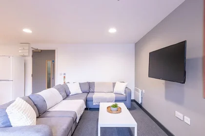 Chambre privée en résidence à 39 Bailey St, Sheffield City Centre, Sheffield S1 4TY, United Kingdom, image 10 de 35