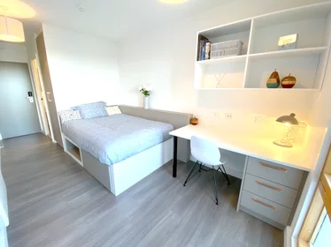 Habitación privada en 37-43 Green Lanes, Newington Green, London N16 9BS, United Kingdom    , imagen 1 de 10