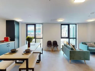 Habitación privada en residencia en Seren, 66 Alexandra Road, Swansea, SA1 5BD, United Kingdom, imagen 6 de 38