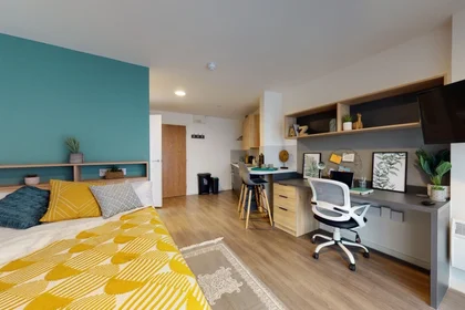 Monolocale in residence in Arundel House, Whitefriars Ln, Coventry CV1 2NA, United Kingdom                 , immagine 1 di 21