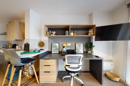 Monolocale in residence in Arundel House, Whitefriars Ln, Coventry CV1 2NA, United Kingdom                 , immagine 2 di 21