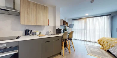 Monolocale in residence in Arundel House, Whitefriars Ln, Coventry CV1 2NA, United Kingdom                 , immagine 16 di 21