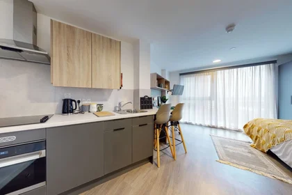 Monolocale in residence in Arundel House, Whitefriars Ln, Coventry CV1 2NA, United Kingdom                 , immagine 3 di 21