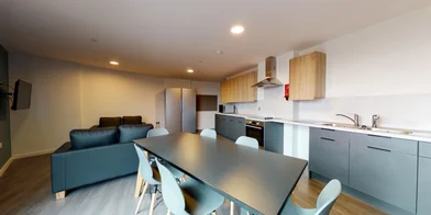 Monolocale in residence in Arundel House, Whitefriars Ln, Coventry CV1 2NA, United Kingdom                 , immagine 9 di 21