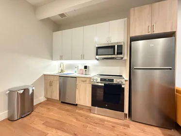 Entire apartment in residence at 980 Kent Avenue, 4B, Bedford-Stuyvesant, Brooklyn, NY, 11205, image 6 of 11