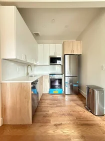 Entire apartment in residence at 980 Kent Avenue, 4B, Bedford-Stuyvesant, Brooklyn, NY, 11205, image 10 of 11