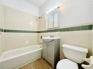 Entire apartment in residence at 810 Rogers Avenue, 2FL, Prospect Lefferts Gardens, Brooklyn, NY, 11226, image 11 of 11