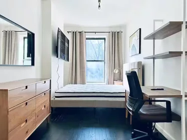 Entire apartment in residence at 810 Rogers Avenue, 2FL, Prospect Lefferts Gardens, Brooklyn, NY, 11226, image 4 of 11