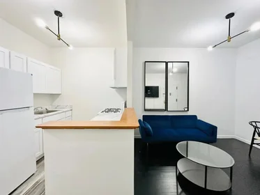 Entire apartment in residence at 810 Rogers Avenue, 2FL, Prospect Lefferts Gardens, Brooklyn, NY, 11226, image 9 of 11