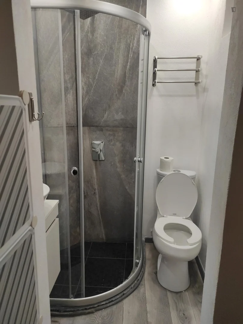 Chambre d'étudiant confortable et spacieuse dans 