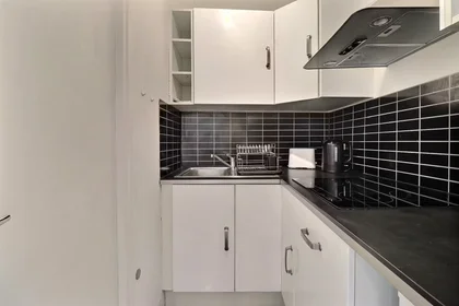 Entire apartment at Rue des Suisses, 14th Arrondissement, image 7 of 10