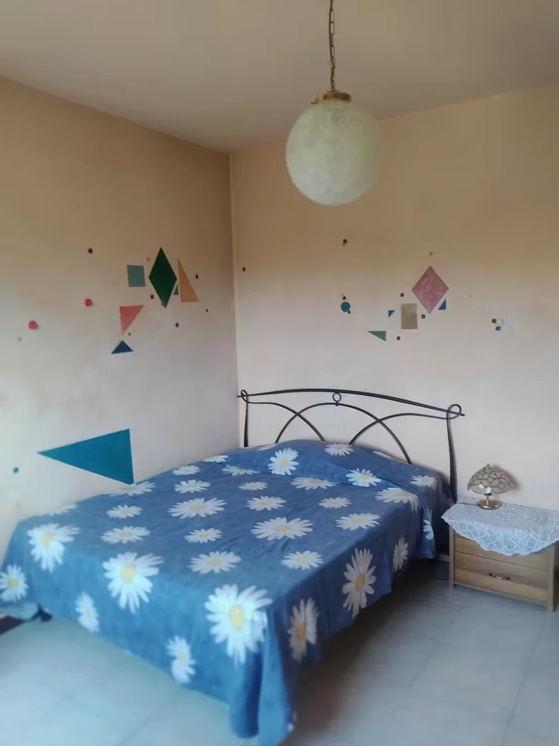 Affordable room for students with ample lighting in 